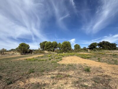 VILLAS NEUVES – VILLAS DE TYPE 4 / Livraison prévue au 2ᵉ trimestre 2028